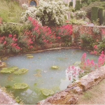 angelic angel garden
