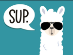 Lama can