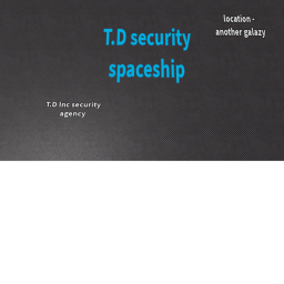 T.D. Inc. Security Agency Research Spaceship