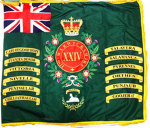British 24th regiment