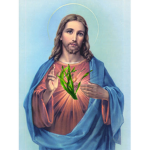 Kelp Worship Service