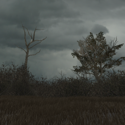 MWR - Foliage