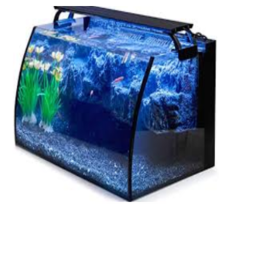 the fish tank!