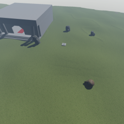 Moai island