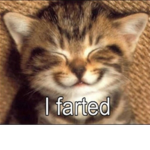 Lol all DAY