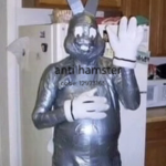 Anti hamster
