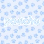 pawcho