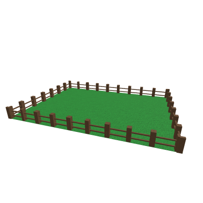 Grassy Feild