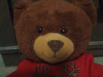 The official teddy bear GC