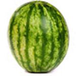 Melon Fan Group