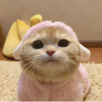 auwie
