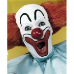 The Clownin Circus