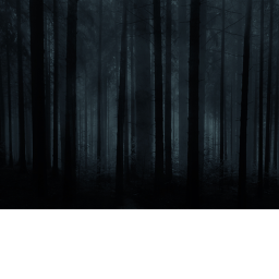 Survive The Killer