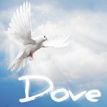 DoveProductions.