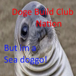 Doge Build Club Nation