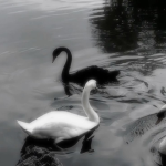 CloudyCore YT
