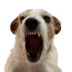 Max’s hell