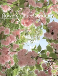 flowers dance academy (fda