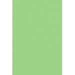 TT Mirtilla