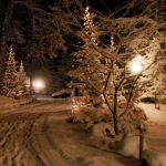 - noelles reindeers -