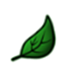 Leaf Studio Group Thumbnail