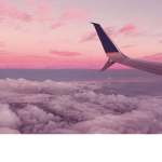 -C L O U T-