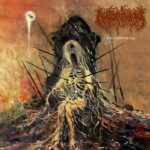 AUTOPHAGY CULT