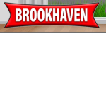 Brookhaven fun