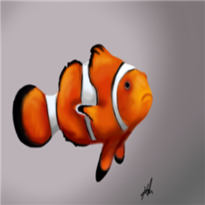 Clown fish Roblox decal