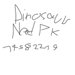 DinosaurNeedPK