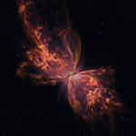 Nebula Corporations