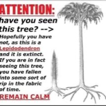 lepidodendron tree game roblox