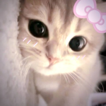 i love robuxxxxxxxx