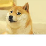 Doge Gang.