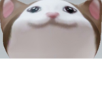 선넘는 팝캣이