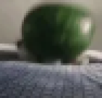 [SEA] ok Melon Cat