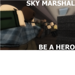 Sky Marshal