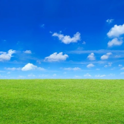 Plains