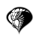 Serpent’s Sect
