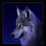 The Scared Wolfs
