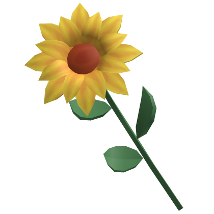 Huge Sunflower