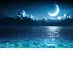 moonlightxr