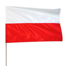 Capture the flag