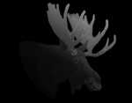 Onyx Moose Games