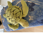 /TURTLE