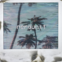 NERDUNIT HOMESTORE