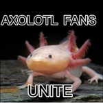 Axolotl Fans Unite!