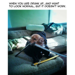 druked ninja dogos