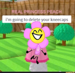 meepcitygirltn_playz offical fan group