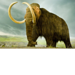 Captain Cleetus and The Behemoths